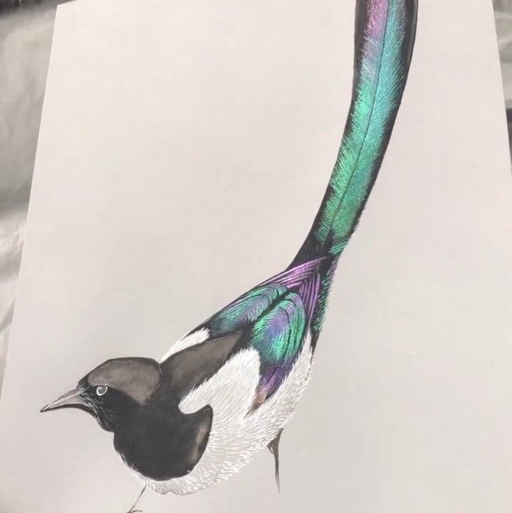 🔥🎨 20 kleuren aquarel schilderij set