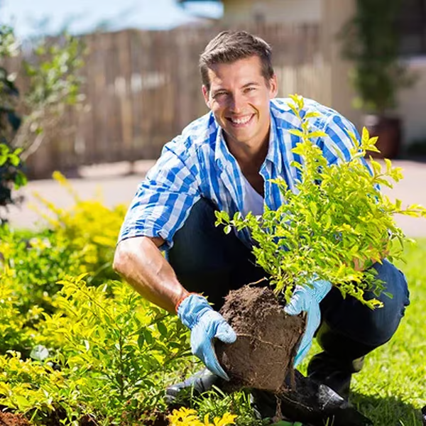 ✨ Bodem Activeringsmiddel – Wonderbodem Voor Gezonde Planten, Ontwakkel Bodemkracht & Stimuleer Groei!