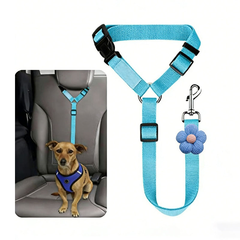 🐶 2-in-1 Hondenautogordel & Wandelriem – Veilig en Handig Onderweg 🚗✨