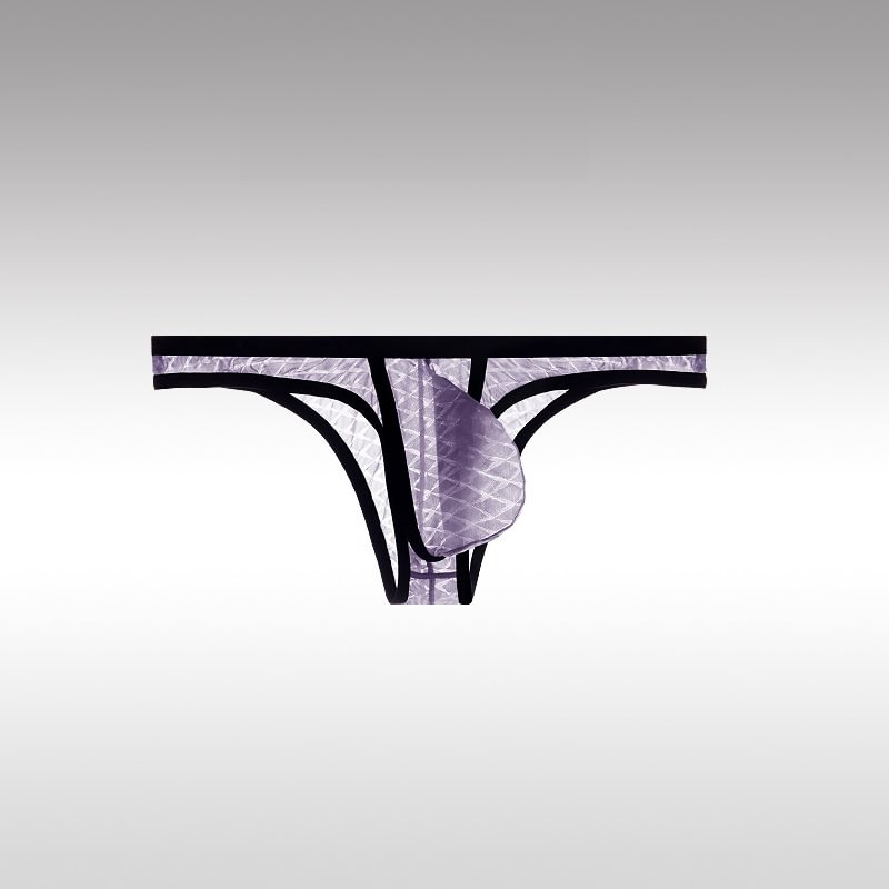 Sexy Low-Rise Comfort Bikini voor Heren, IJs Zijden Mesh, Transparante Ultradunne Slips