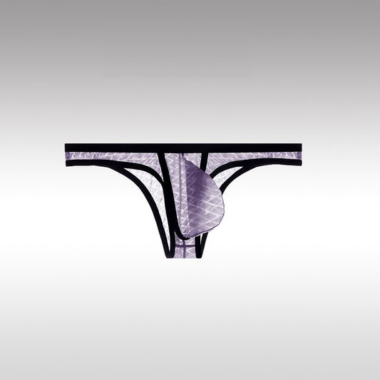 Sexy Low-Rise Comfort Bikini voor Heren, IJs Zijden Mesh, Transparante Ultradunne Slips