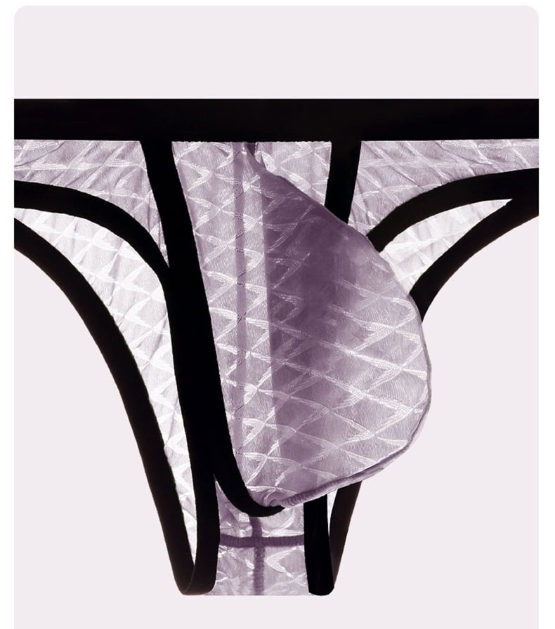 Sexy Low-Rise Comfort Bikini voor Heren, IJs Zijden Mesh, Transparante Ultradunne Slips