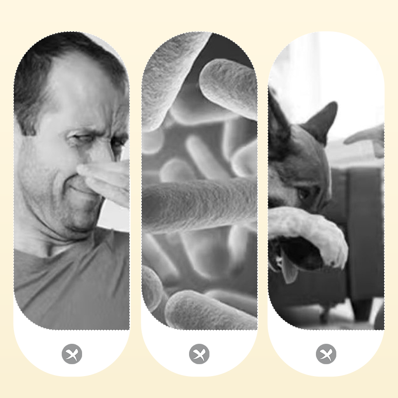 Krachtige geurverwijderaarspray voor huisdieren