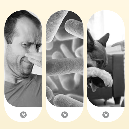 Krachtige geurverwijderaarspray voor huisdieren