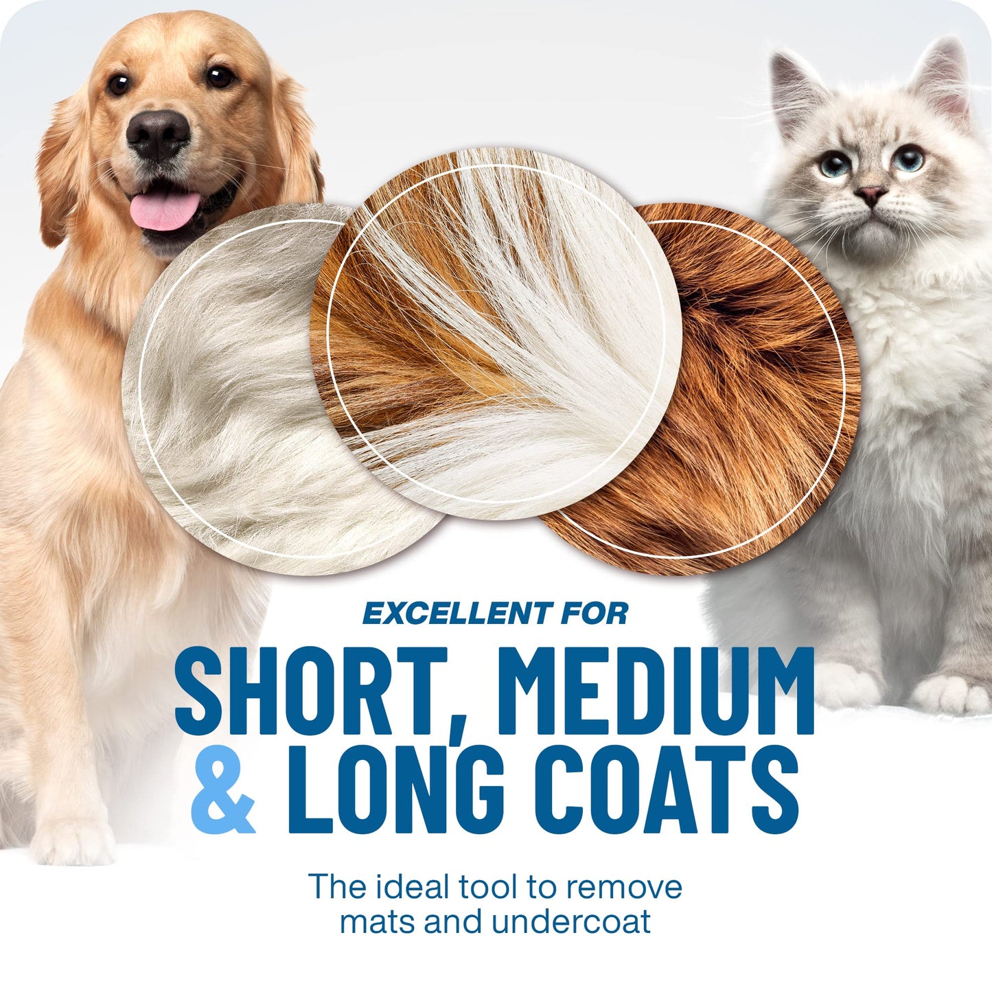 🐾 Verzorgende huisdierborstel voor honden en katten – Voor een nette en verzorgde vacht 🌿
