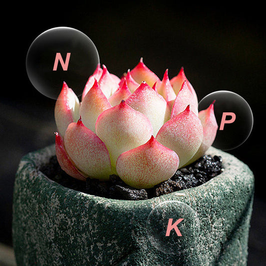 🔥 50% KORTING ! ✨ Langwerkende Meststoftabletten - Gebalanceerde NPK Samenstelling, Voor Alle Binnen- en Buitenplanten 🌱🌿