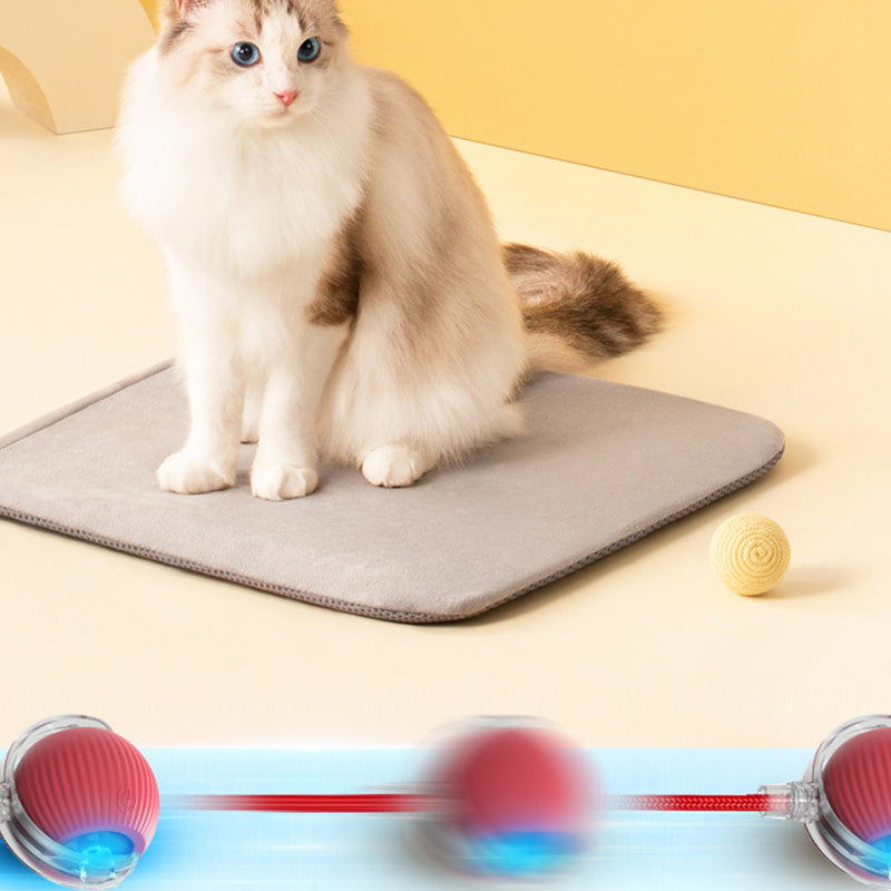 ✨ Slimme Automatische Rollende Dierenbal – Automatisch Bewegen, Obstakel Vermijden & Langdurige Batterij (Perfect voor Katten & Honden, Bevrijd Jouw Handen!)
