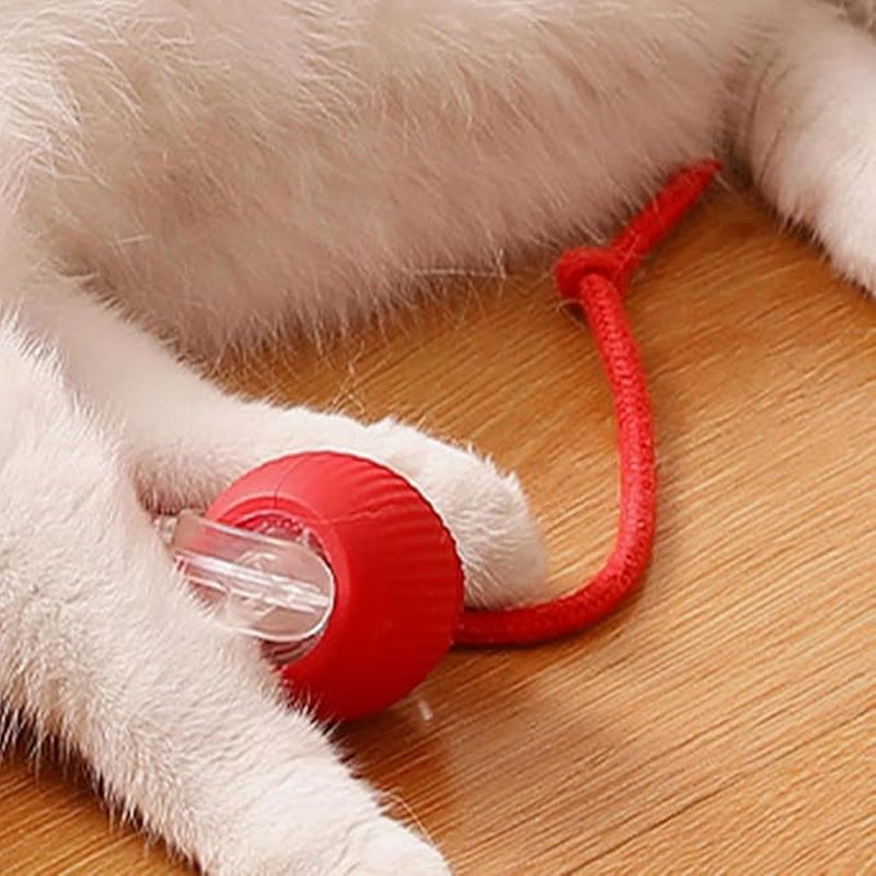 🖤Black Friday topper!40% korting ✨ Slimme Automatische Rollende Dierenbal – Automatisch Bewegen, Obstakel Vermijden & Langdurige Batterij (Perfect voor Katten & Honden, Bevrijd Jouw Handen!)