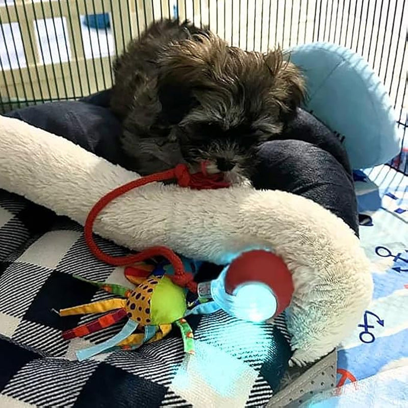 ✨ Slimme Automatische Rollende Dierenbal – Automatisch Bewegen, Obstakel Vermijden & Langdurige Batterij (Perfect voor Katten & Honden, Bevrijd Jouw Handen!)