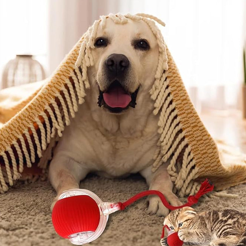 ✨ Slimme Automatische Rollende Dierenbal – Automatisch Bewegen, Obstakel Vermijden & Langdurige Batterij (Perfect voor Katten & Honden, Bevrijd Jouw Handen!)
