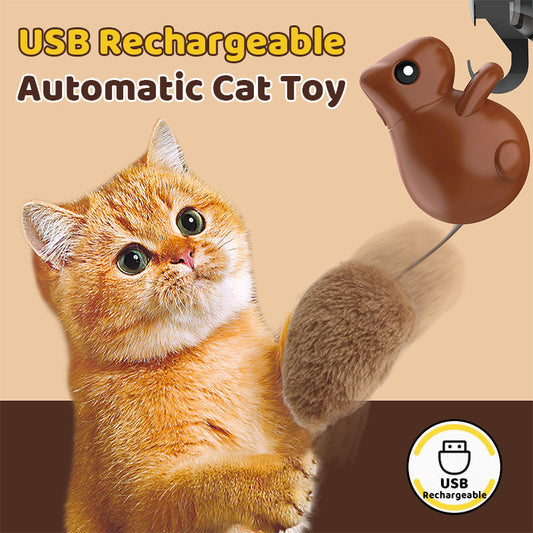 USB oppladbar automatisk kattteaser