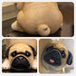 [Creatieve Geschenken] Hars Hond Standbeeld Lade Opberg Sleutelhouder Decoratie