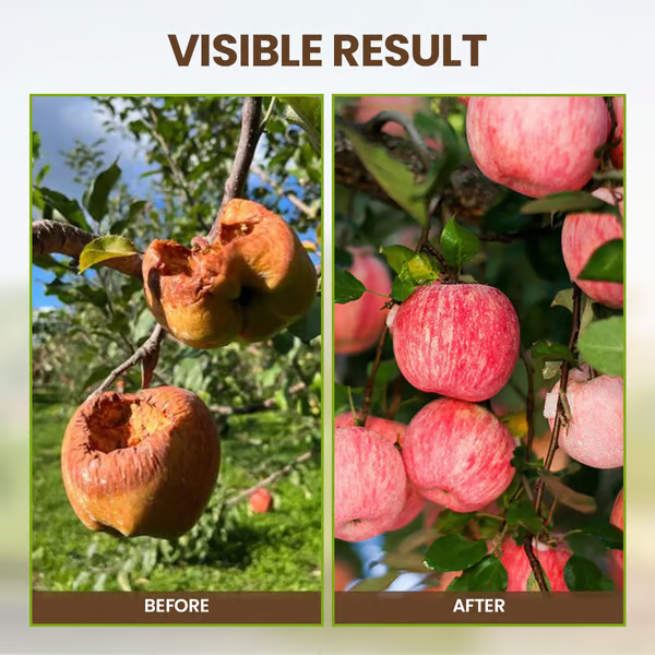 ✨ Bodem Activeringsmiddel – Wonderbodem Voor Gezonde Planten, Ontwakkel Bodemkracht & Stimuleer Groei!