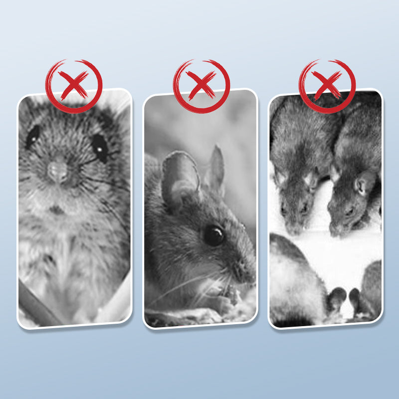 Herbruikbare rattenval met zeer gevoelige trekker