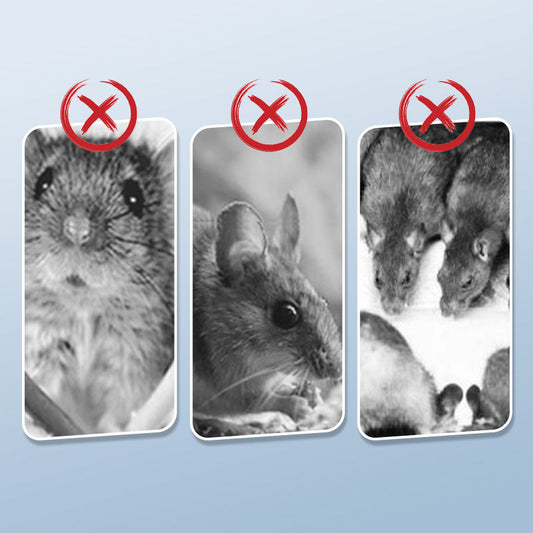 Herbruikbare rattenval met zeer gevoelige trekker