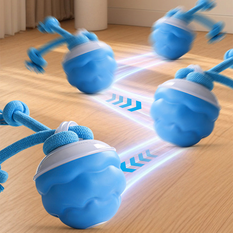 🐾 Black Friday 58% Korting! Interactieve Elektronische Kalmerende Bal voor Huisdieren – 3 Modus, Automatisch Obstakelvermijding & Tandenzorg! 🐶💡