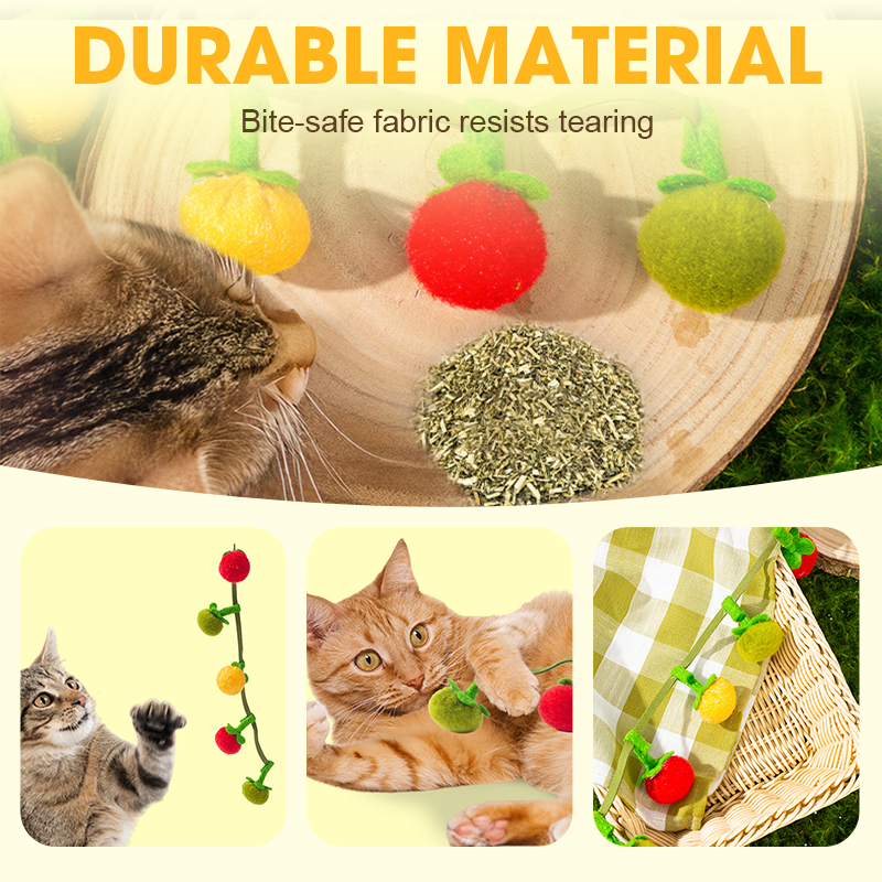 🐱Interactief Fruitvormig Kattenkruid Speelgoed met Touwtje!