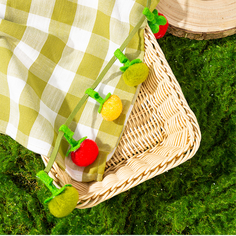 🐱Interactief Fruitvormig Kattenkruid Speelgoed met Touwtje!