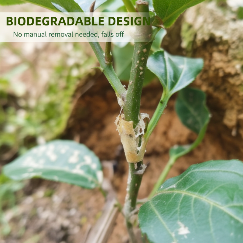 50 stuks siliconen enthulzen voor fruitbomen