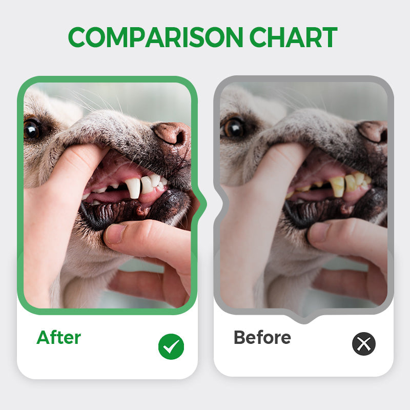 🐶🐱 Nieuwjaarsdeal 🐾 Tandreiniger Stift voor Huisdieren – Frisse Adem & Schone Tanden