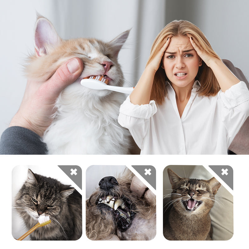 🐶🐱 Nieuwjaarsdeal 🐾 Tandreiniger Stift voor Huisdieren – Frisse Adem & Schone Tanden