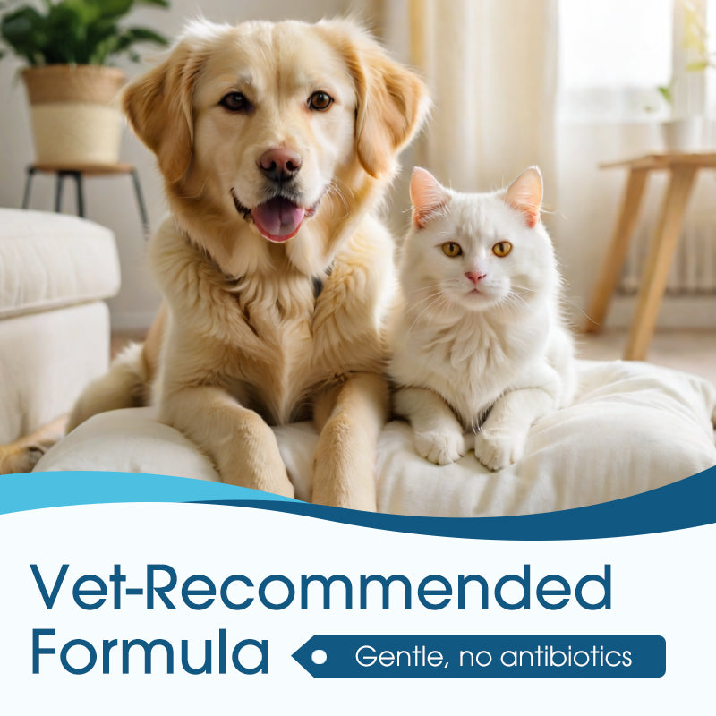🐾🔥 50% KORTING | Oorreiniger voor Honden & Katten – Zachte Verzorging