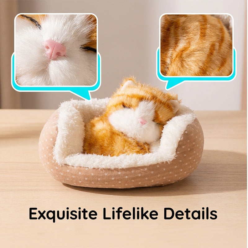 🏠 Schattige knuffel met een slapend diertje 🐾  De perfecte metgezel voor het slapengaan