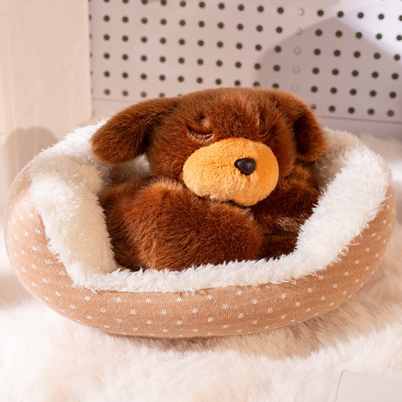 🏠 Schattige knuffel met een slapend diertje 🐾  De perfecte metgezel voor het slapengaan