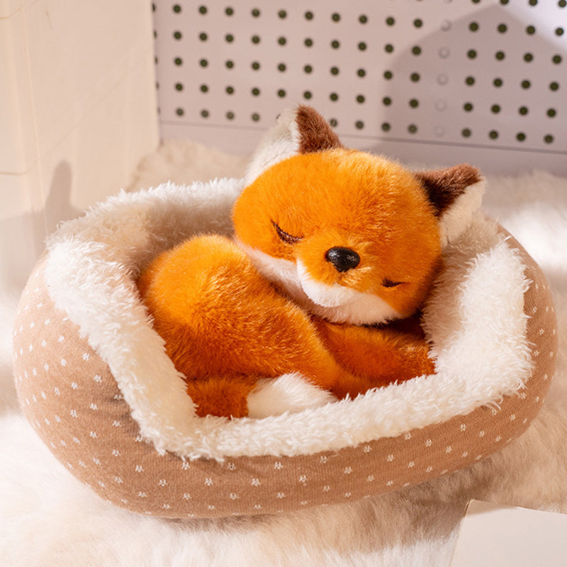 🏠 Schattige knuffel met een slapend diertje 🐾  De perfecte metgezel voor het slapengaan