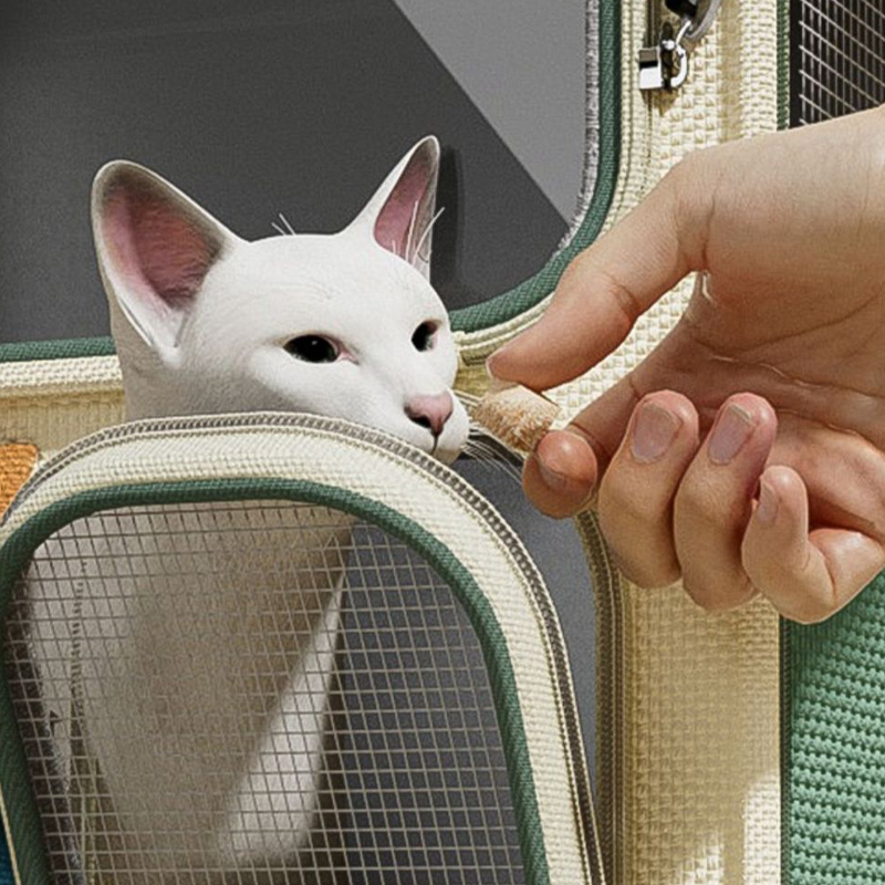 Dierentransportbox op wieltjes met grote inhoud