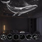 ✨🌌 2-in-1 Sterrenhemelprojector en Nachtlampje 💡🌙
