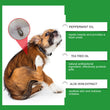 🍃Natuurlijke Vlooi- en Tekspray voor Honden en Katten🐾 Houd uw Geliefde Huisdier Vrij van Ongedierte