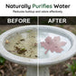 🐦Universele Vogelbad Watercirculator | Houdt Water Fris en Trekt Meer Vogels naar je Tuin 💧✨