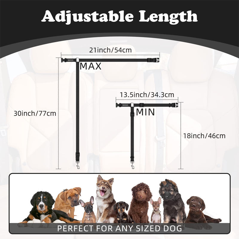 🐶 2-in-1 Hondenautogordel & Wandelriem – Veilig en Handig Onderweg 🚗✨