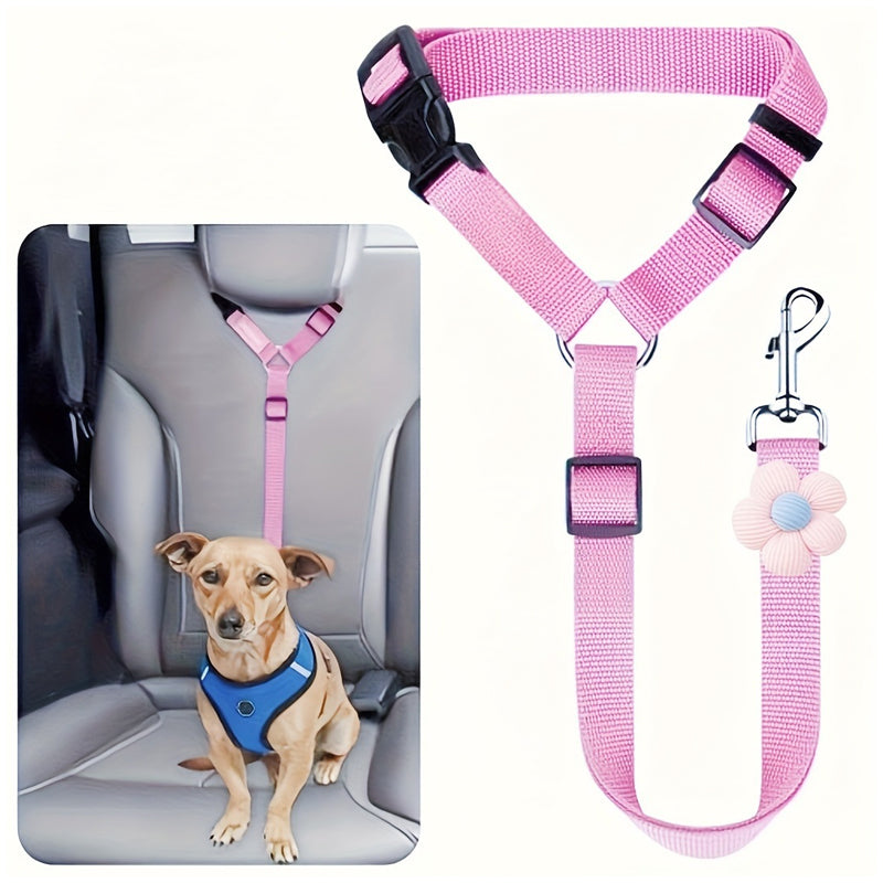 🐶 2-in-1 Hondenautogordel & Wandelriem – Veilig en Handig Onderweg 🚗✨