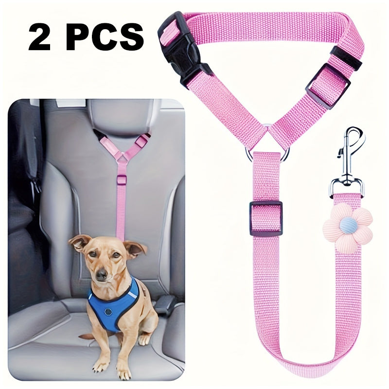 🐶 2-in-1 Hondenautogordel & Wandelriem – Veilig en Handig Onderweg 🚗✨