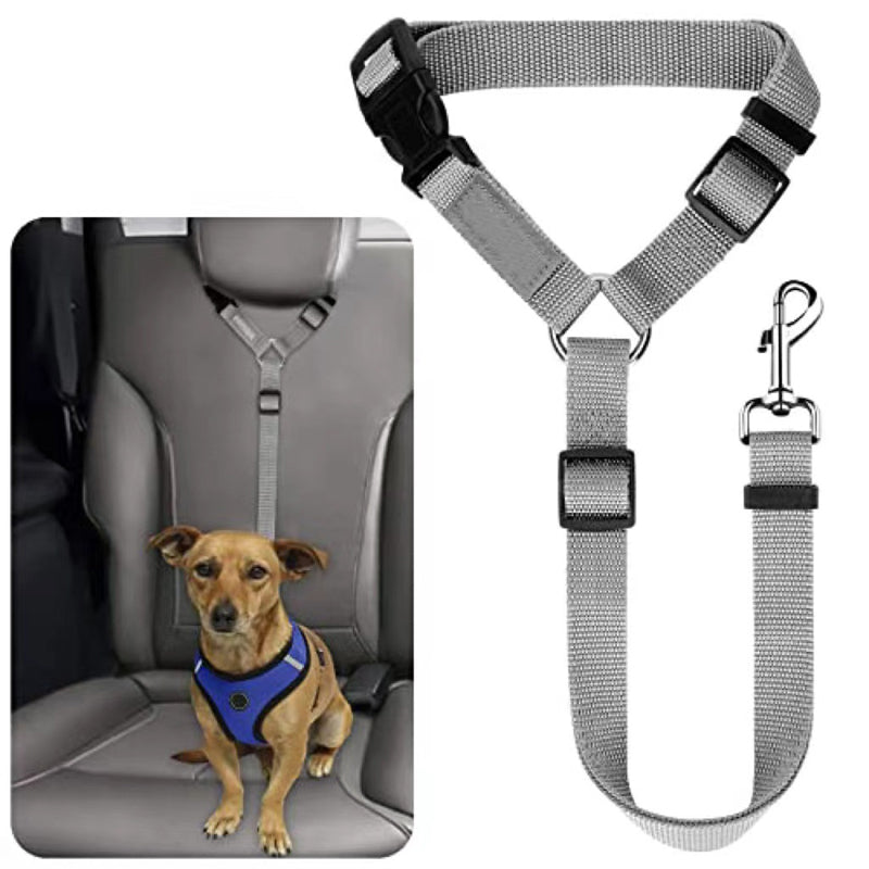 🐶 2-in-1 Hondenautogordel & Wandelriem – Veilig en Handig Onderweg 🚗✨