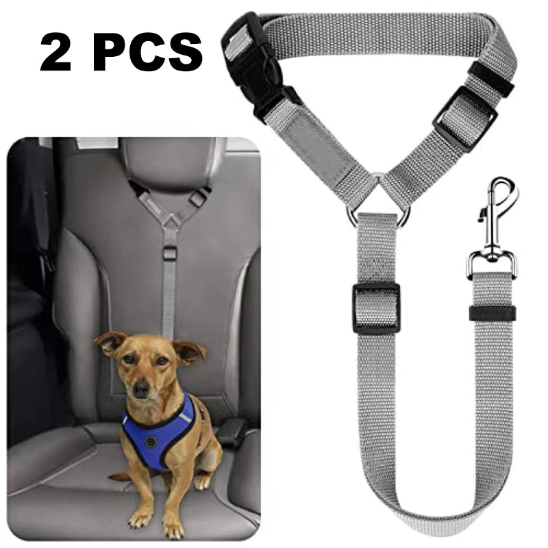 🐶 2-in-1 Hondenautogordel & Wandelriem – Veilig en Handig Onderweg 🚗✨