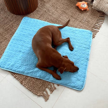 ⏰ 50% KORTING 🐾 Kat & Hond Koelmat, natuurlijke koeling zonder stroom & gel, diverse maten