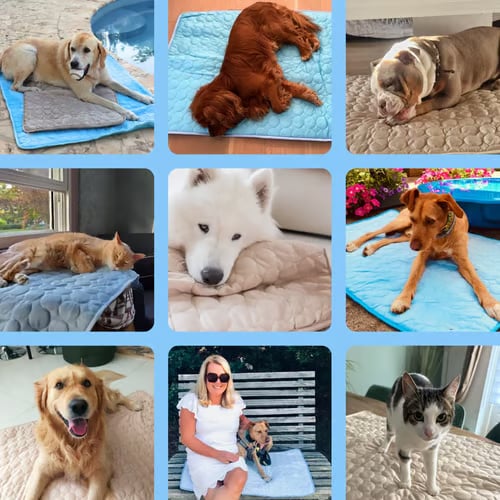 ⏰ 50% KORTING 🐾 Kat & Hond Koelmat, natuurlijke koeling zonder stroom & gel, diverse maten