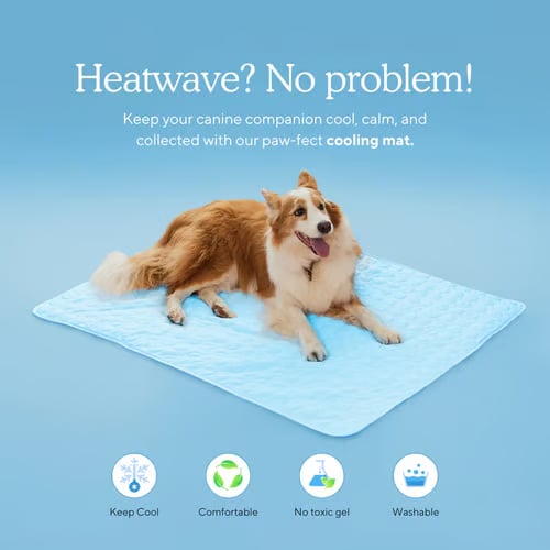 ⏰ 50% KORTING 🐾 Kat & Hond Koelmat, natuurlijke koeling zonder stroom & gel, diverse maten