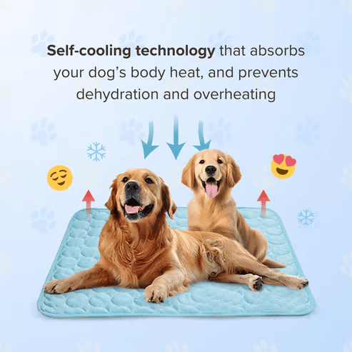 ⏰ 50% KORTING 🐾 Kat & Hond Koelmat, natuurlijke koeling zonder stroom & gel, diverse maten