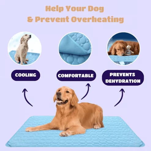 ⏰ 50% KORTING 🐾 Kat & Hond Koelmat, natuurlijke koeling zonder stroom & gel, diverse maten