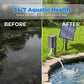 🌞 Zonne-energie Vijverbeluchter met luchtpomp – nul elektriciteitskosten – houd vissen gezond en water helder – 50% KORTING 🐟💧
