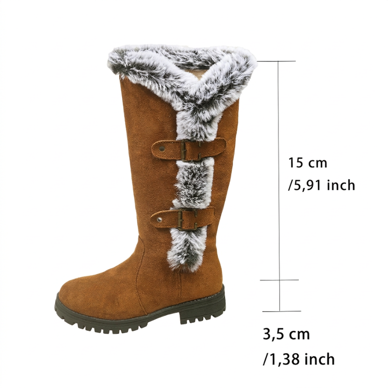 🔥Gratis verzending✈️Dames enkellaarzen met dikke pluche voering voor in de sneeuw